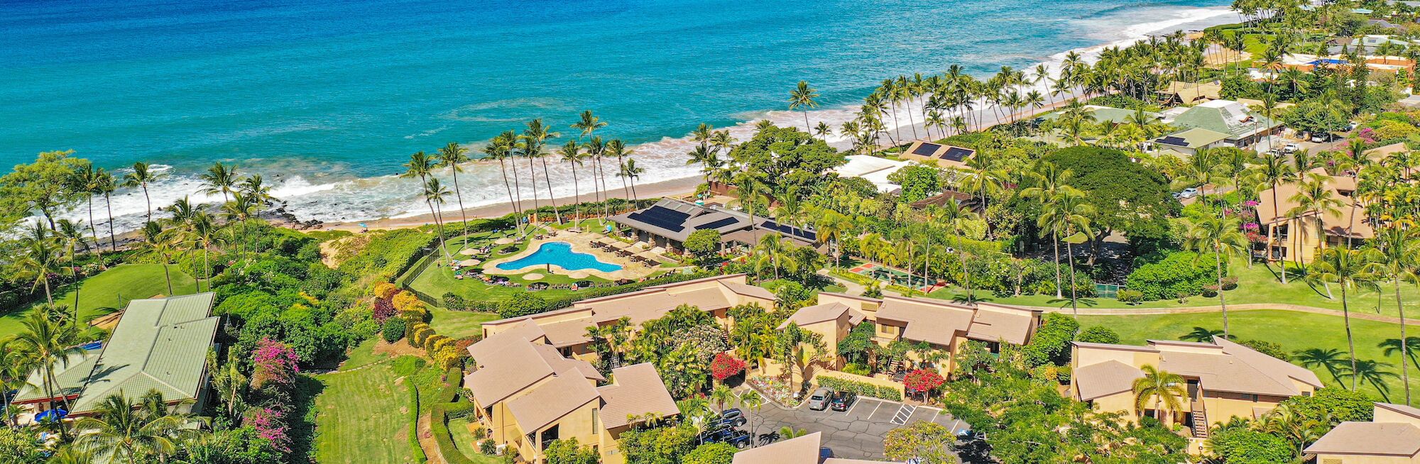 Aerial view of a tropical beachfront resort with buildings, a large pool, palm trees, and lush green landscaping near the ocean.