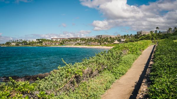 A coastal pathway leads to a beachside resort under a bright blue sky, with lush green vegetation and the ocean alongside.