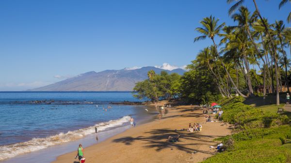 A scenic beach with palm trees, blue ocean, people relaxing and walking, and a mountain in the background under a clear blue sky.