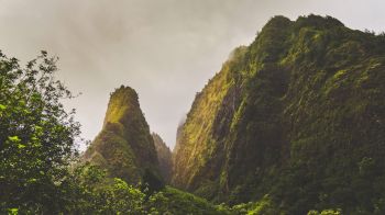 The image shows a lush, green mountainous landscape with mist partially covering the peaks and dense foliage at the base, under a cloudy sky.