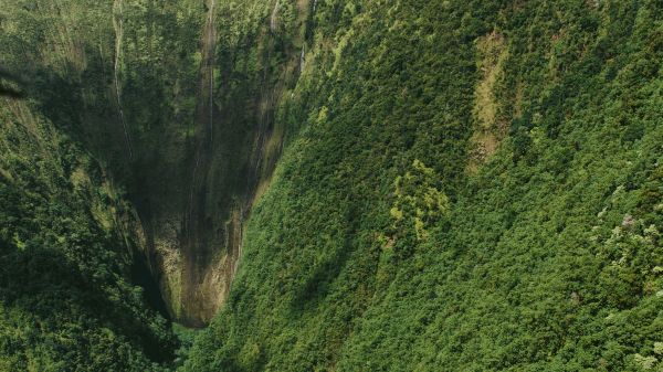 A lush, green mountainous landscape with steep cliffs and dense forestation under a cloudy sky, creating a serene and natural scene.