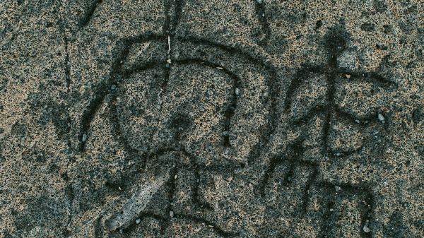 This image shows ancient petroglyphs carved into a rock surface, depicting intricate and abstract geometric shapes and patterns, possibly of cultural significance.