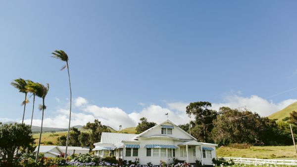 A picturesque scene with a white house surrounded by lush greenery, tall swaying palm trees, and a backdrop of hills under a clear blue sky.