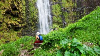 A person in a white hat and blue backpack sits near a waterfall surrounded by lush green vegetation and moss-covered rocks.