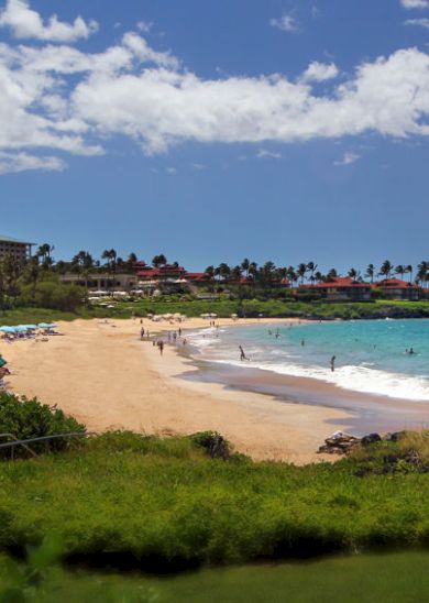 A picturesque beach with people sunbathing, swimming, and umbrellas set up, surrounded by lush greenery and buildings in the background ending the sentence.