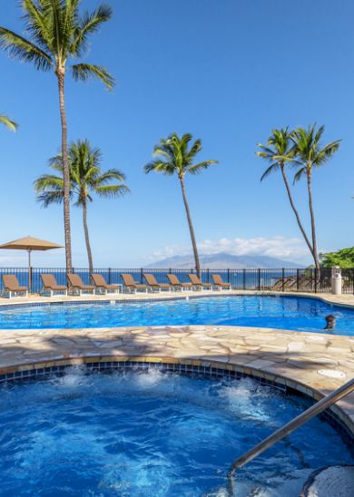 The image shows a luxurious outdoor pool area with palm trees, lounge chairs, and umbrellas overlooking the ocean under a clear blue sky.