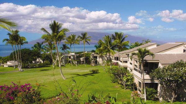 A tropical resort with lush green lawns, palm trees, and modern buildings overlooking the ocean, with a mountainous island in the background.