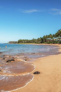 A sunny tropical beach with golden sand, gentle waves, palm trees lining the shore, and a few people relaxing near the water’s edge.