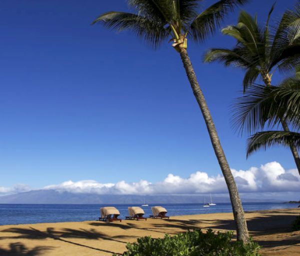 A serene beach scene with tall palm trees, sandy shore, a few covered beach chairs, calm ocean water, and a backdrop of clouds and mountains.