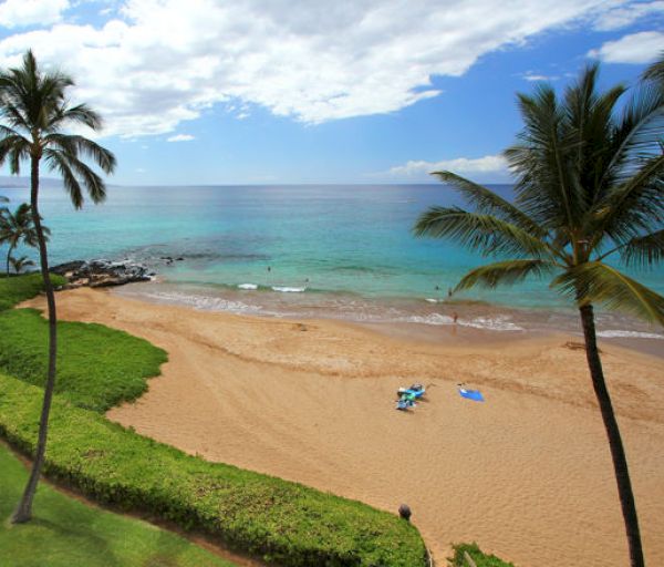 A serene beach scene with golden sand, turquoise water, palm trees, and a few beachgoers enjoying the sunny weather.