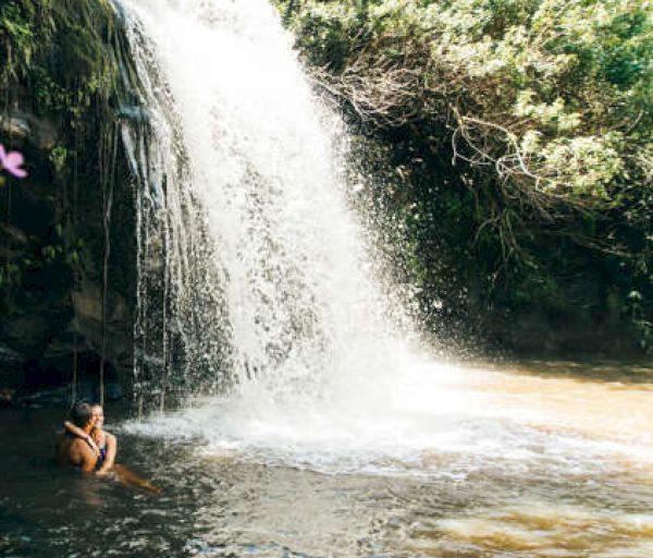 A waterfall cascades into a pool where a person sits on a swing, surrounded by greenery.