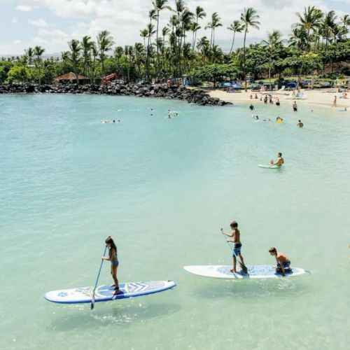 The image shows a beach with people paddleboarding in the clear water, swimmers, and beachgoers relaxing on the sandy shore surrounded by palm trees.