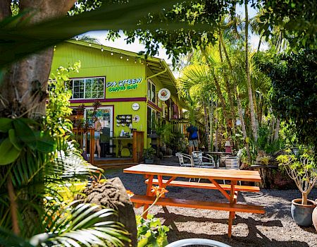 A vibrant green building surrounded by lush foliage features outdoor seating with picnic tables and chairs, creating a cozy, tropical atmosphere.