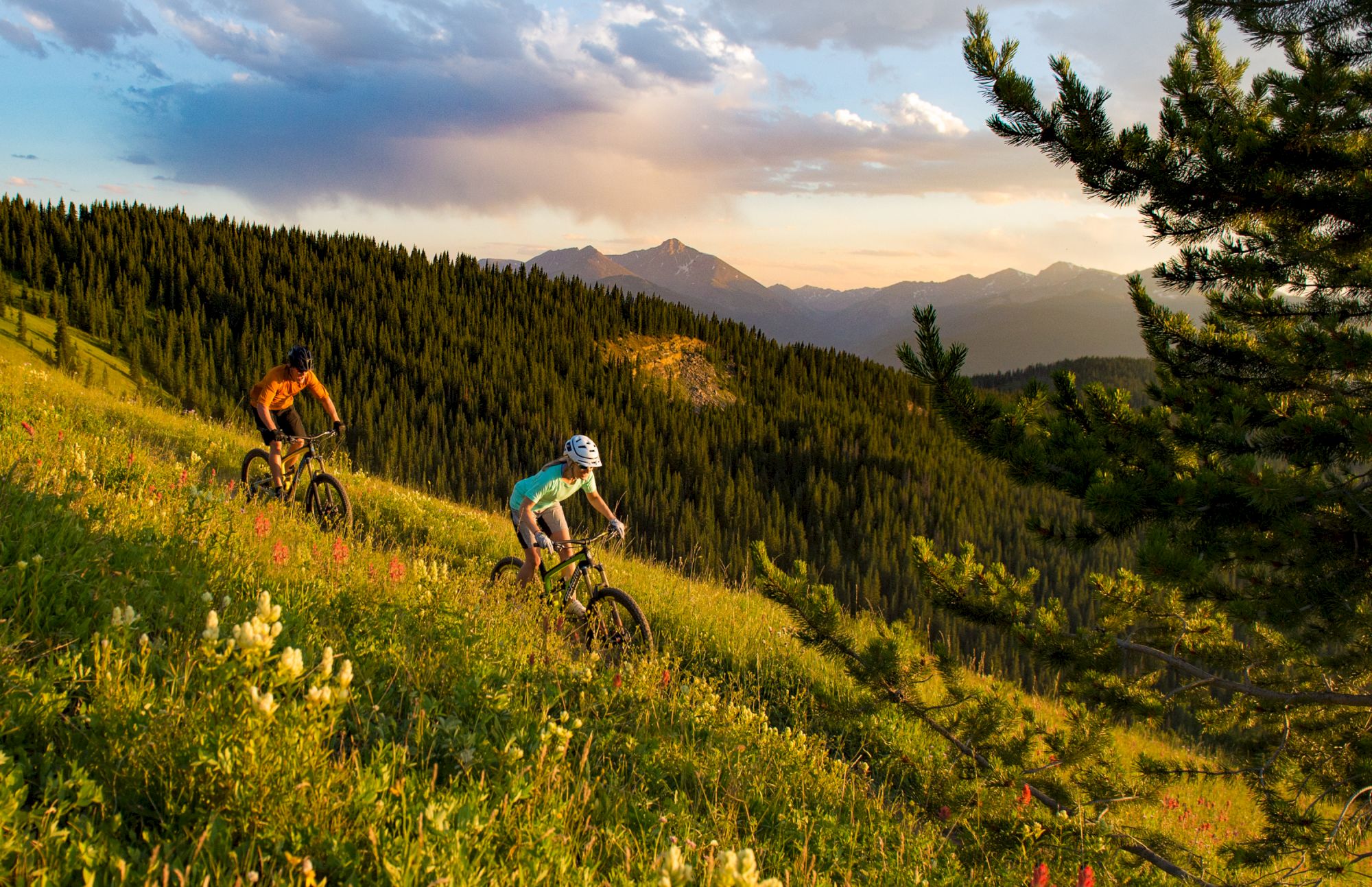 Two people mountain biking through a scenic forest trail at sunset, with distant mountains and a partly cloudy sky in the background.