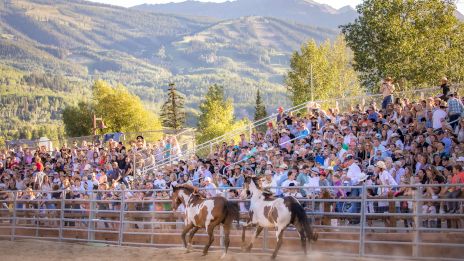 Horses running in a fenced area with a crowd of spectators watching, set against a mountainous backdrop and lush trees, sunny day.