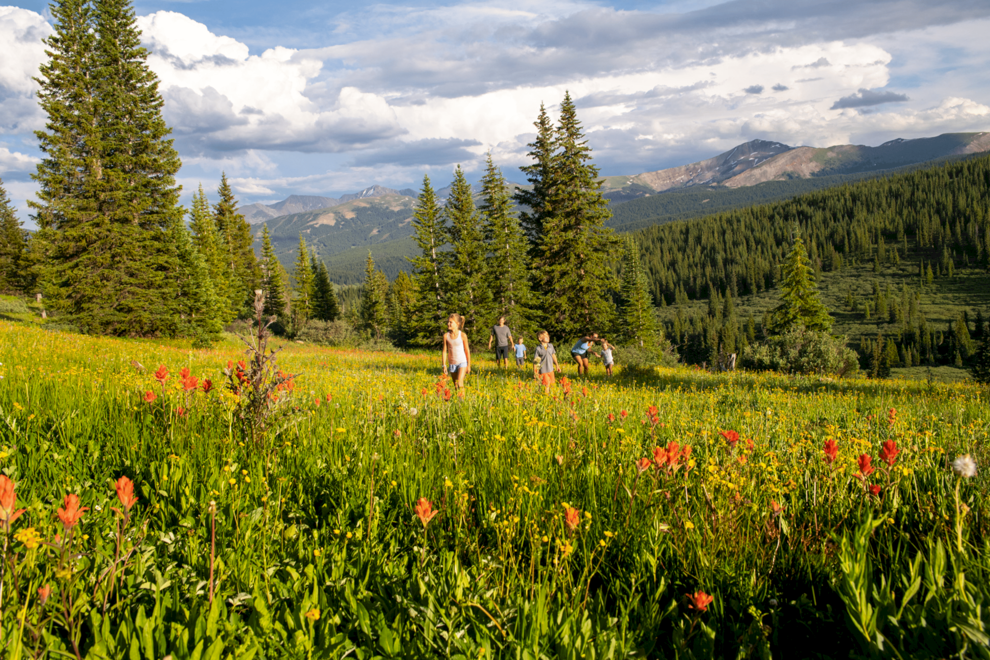 A group of people are hiking in a vast meadow filled with wildflowers and surrounded by pine trees, with mountains in the background under a cloudy sky.