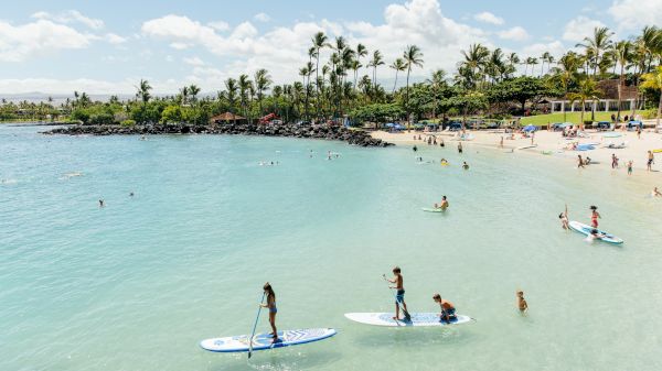 A sunny beach scene features people paddling on surfboards, swimming, and relaxing under palm trees, perfect for summer fun.